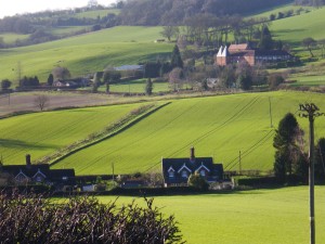 Walsgrove Farm (upper right).